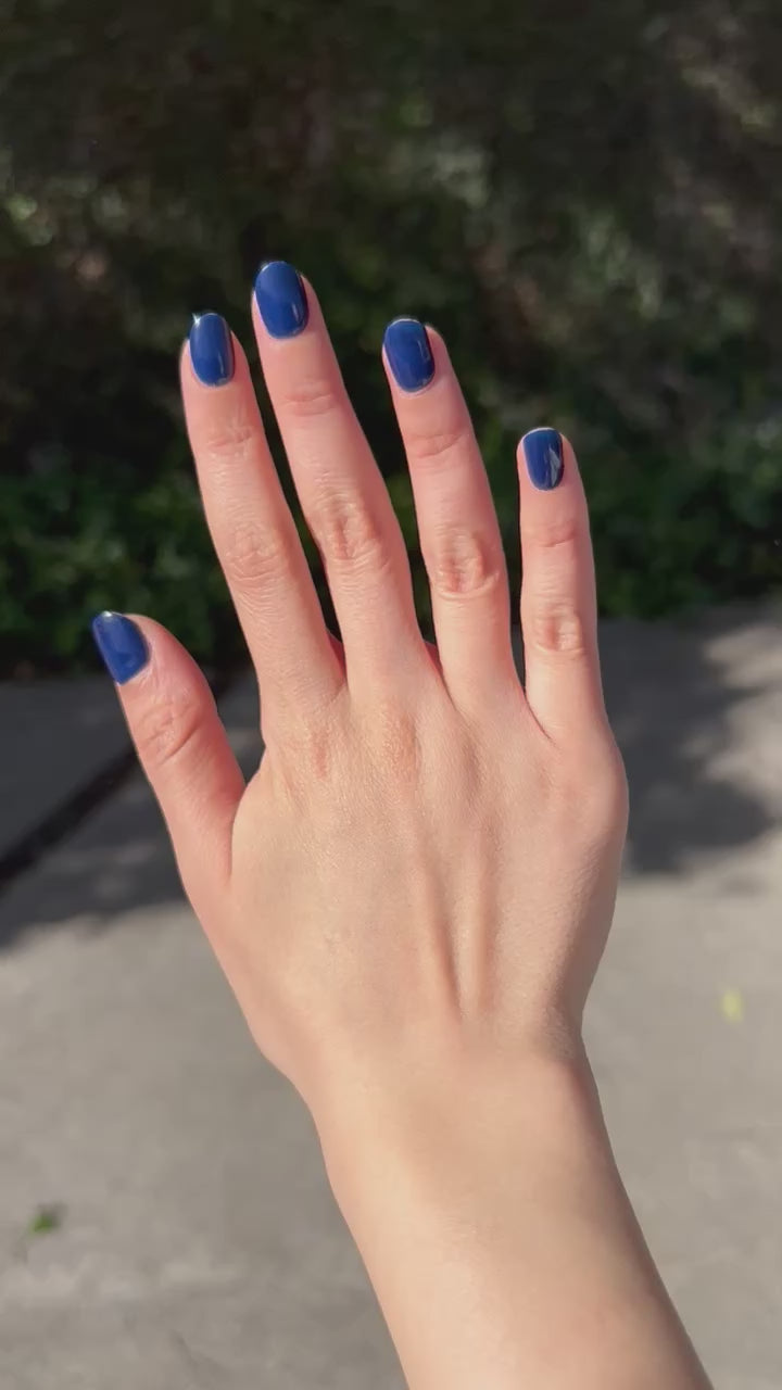 Cargar vídeo: Royal Blue